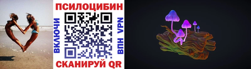 Купить где  Смоленск  Галлюциногенные грибы Cubensis 